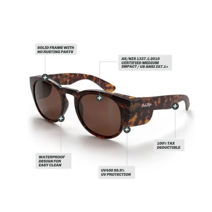 SafeStyle CRMTBRP100 Cruisers Matte Tort Frame Brown Polarised Lens