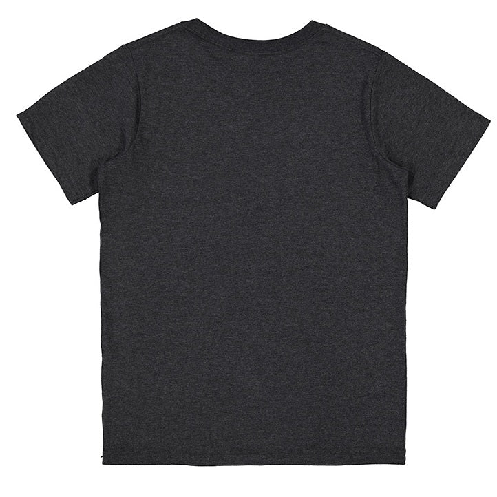 Plain dark gray t-shirt on a white background