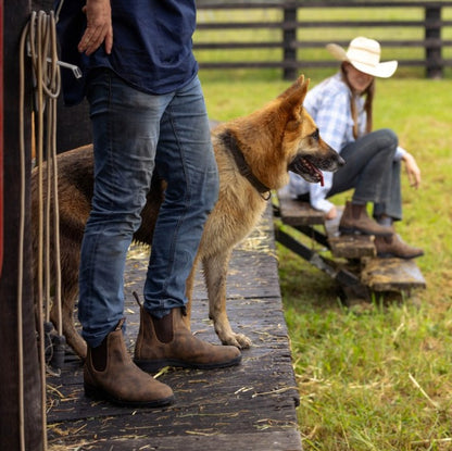 Person with a dog on a wooden platform, with another person sitting on steps in the background. K92075