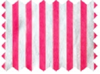 Pilbara RMPC013 Ladies L/S Stripe Shirt