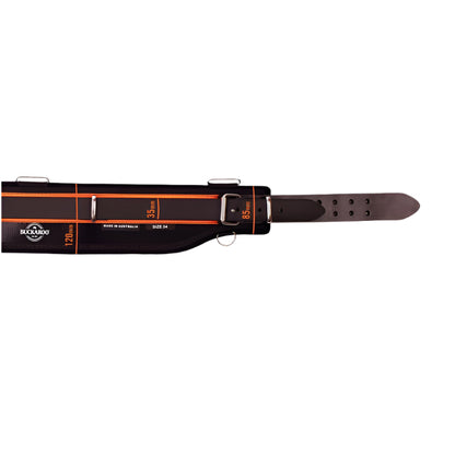 Buckaroo TMSRC The Signature Belt