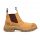 Oliver 55-322 Wheat