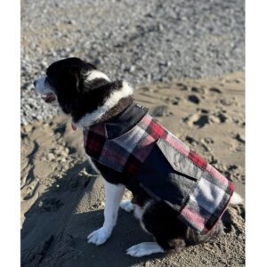 Swanndri SW13901 Classic Wool Dog Coat